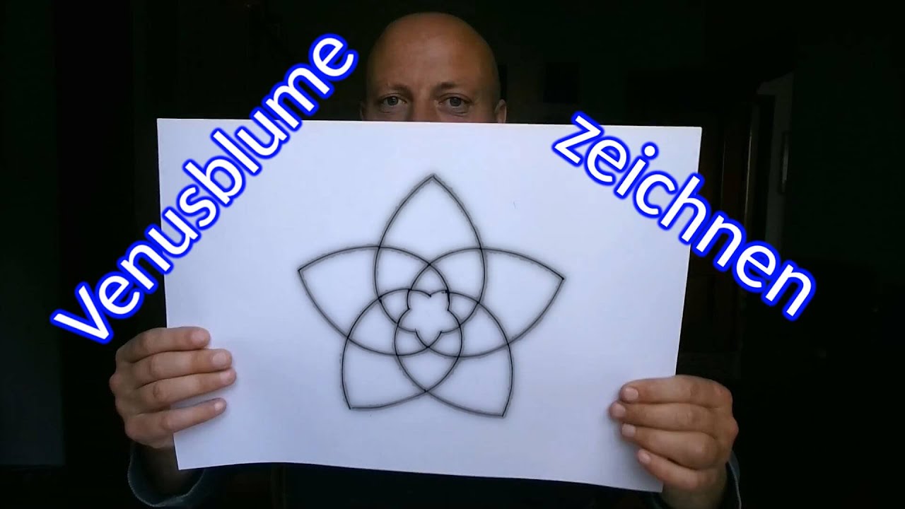 Anleitung: Eine Venusblume (mit dem Zirkel) zeichnen