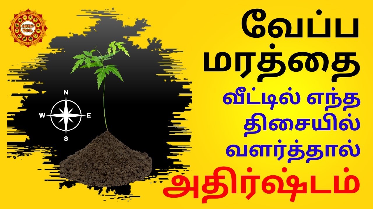 Neem tree vasthu in which direction is it grown in the house?