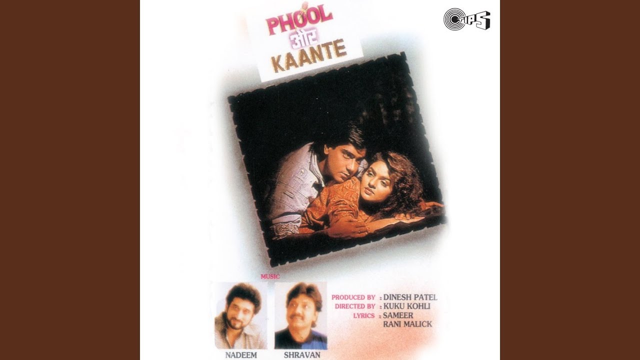 Maine Pyar Tumhi Se Kiya Hai