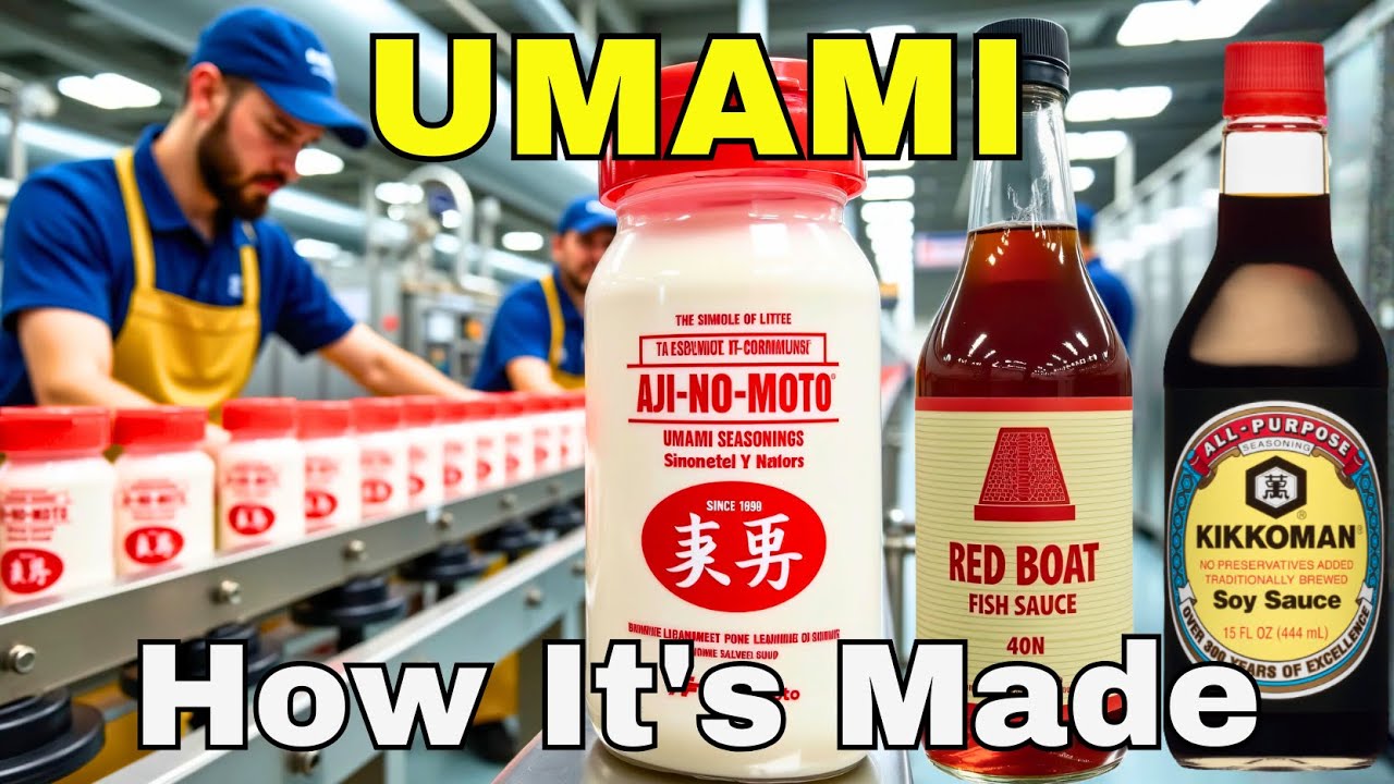 How It's Made: MSG, Fish Sauce, Soy Sauce &ndash; The Truth About Umami