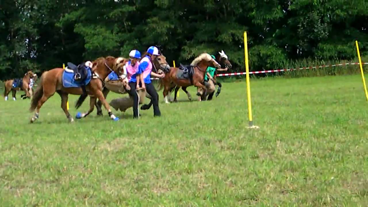 Mounted Games RLT in Panitzsch Teil 1