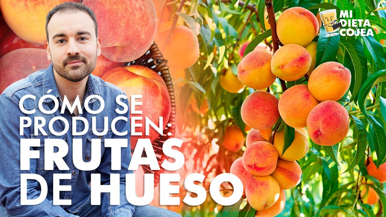 Ciruela, albaricoque, paraguayo ¿Cómo se produce la fruta de hueso?