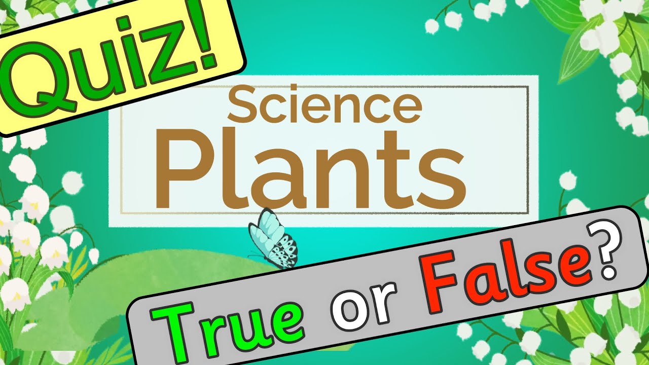 SCIENCE: Plants QUIZ for kids | Miss Ellis 🌿 #trees #plants