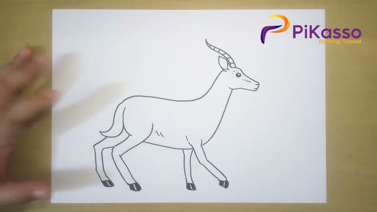 Antelope Easy Drawing Tutorial