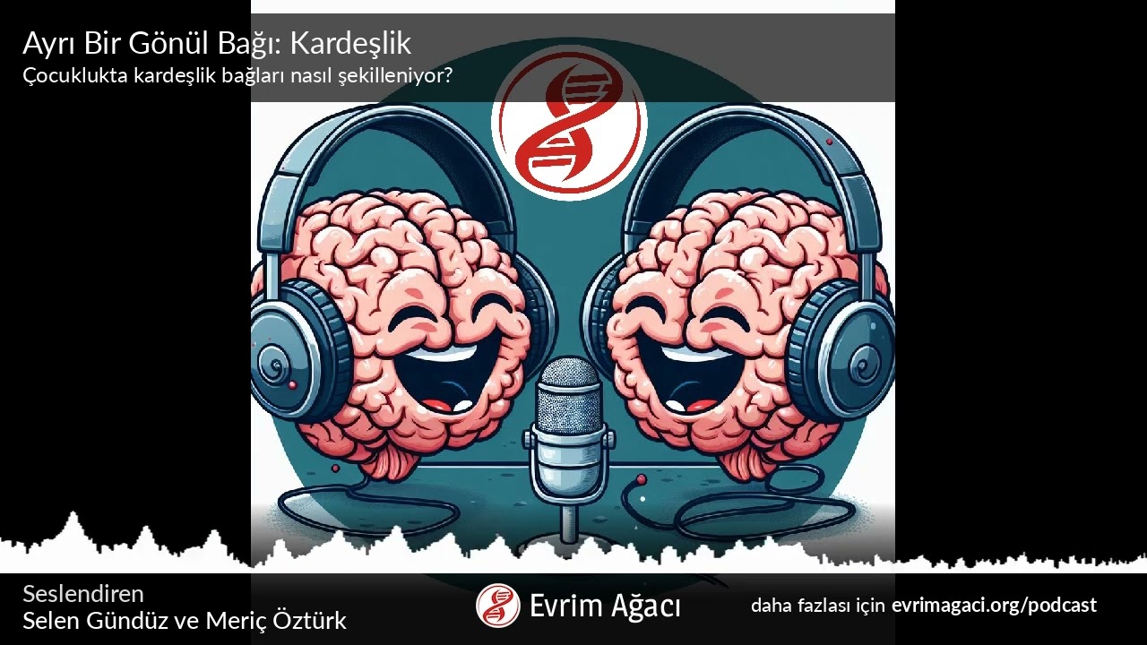 Ayrı Bir Gönül Bağı: Kardeşlik