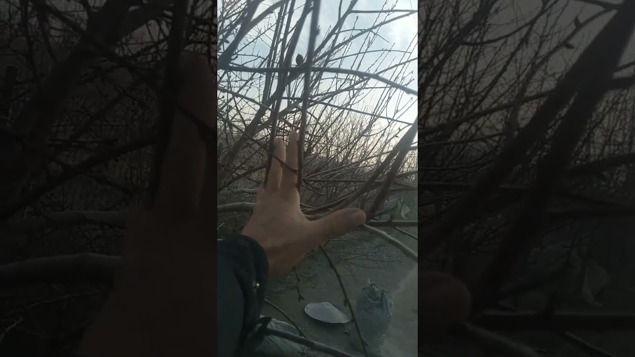 14 января 2026 г.