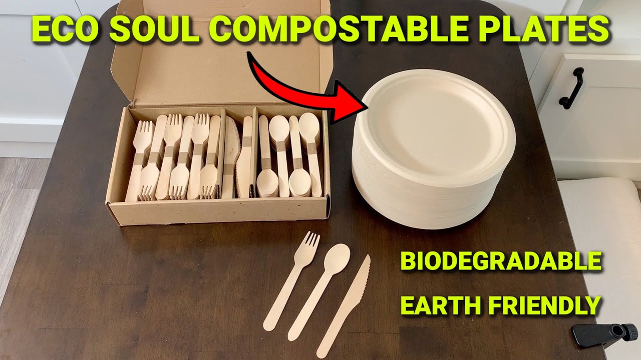 How to Reduce Household Waste with Compostable Dining Alternatives