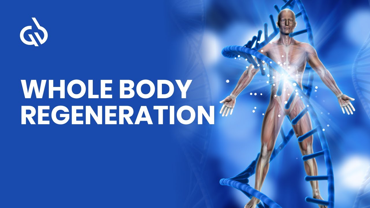 Whole Body Regeneration: Rife Frequency for Whole Body Healing (1 Hour)