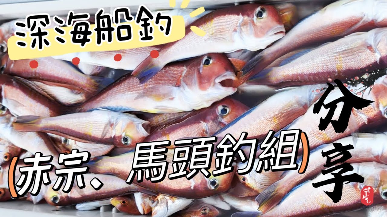 深海船釣赤馬班！個人使用釣組介紹。輕鬆釣獲價格居高不下的馬頭魚！乾煎炒美味的赤宗。#釣魚 #船釣 #生餌 #深海 #白鐵線#赤宗#馬頭魚#教學系列#教學影片 #釣組#小技巧