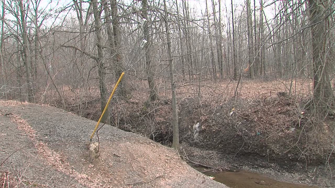 The NOW: Body of missing Lorain man Aaron Zimmerman discovered in wooded area in southern Lorain
