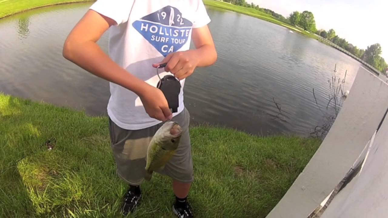 Fins Up Fishing : 30 Bass In 1 Minute
