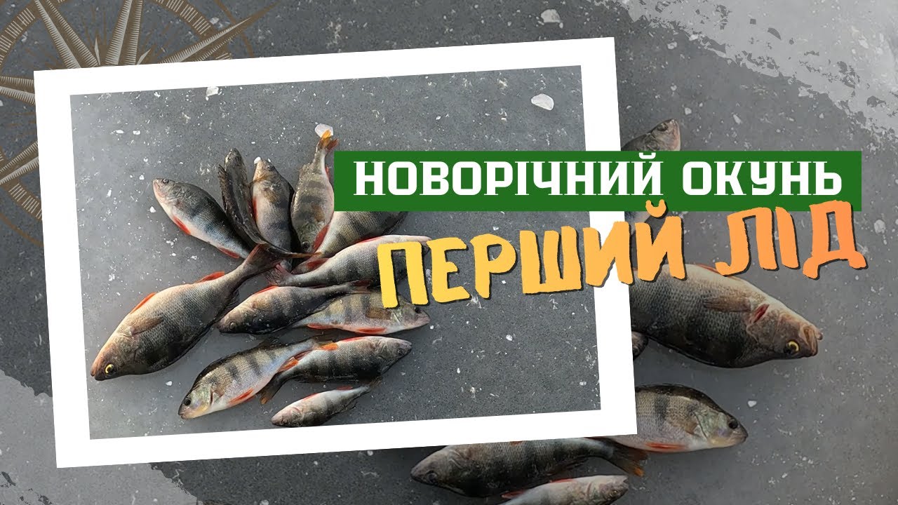 🎣 Зимова риболовля на окуня | Активний кльов, пошук риби та робочі приманки