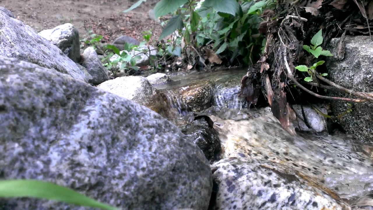 First water - Mt. Wilson trail