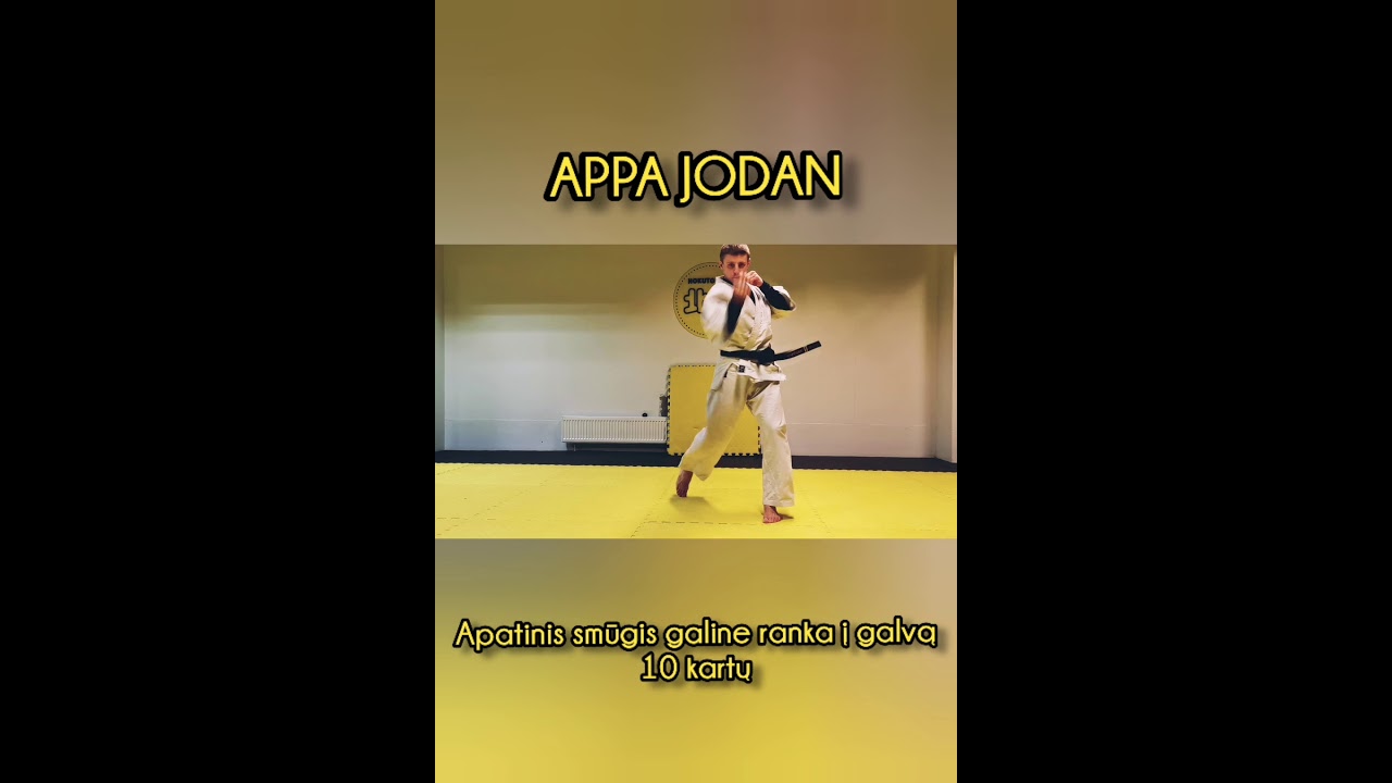 Basic Kudo technique (KIHON) Bazinė Kudo technika