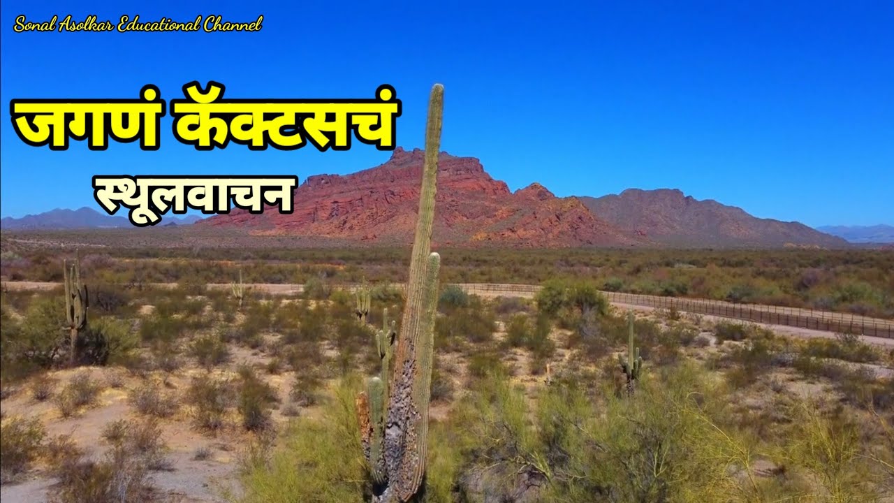 जगणं कॅक्टसच स्थूलवाचन Jagana Cactusch stulvachan Std : 10 th Sub : Marathi