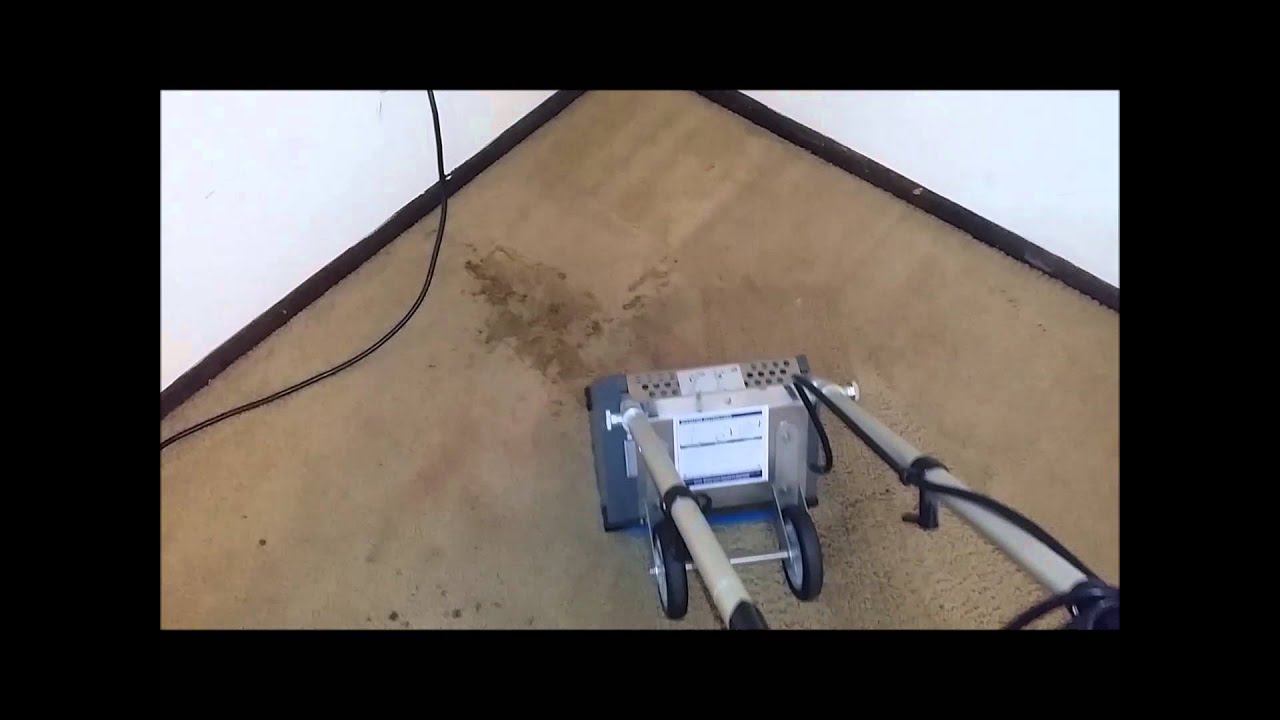 Whittaker CRB floor/tile/carpet scrubber/ dirty carpet cleaning