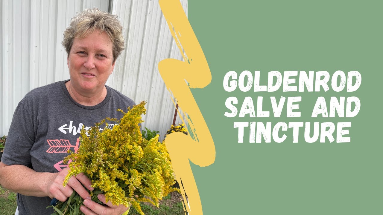 Goldenrod..for arthritis
