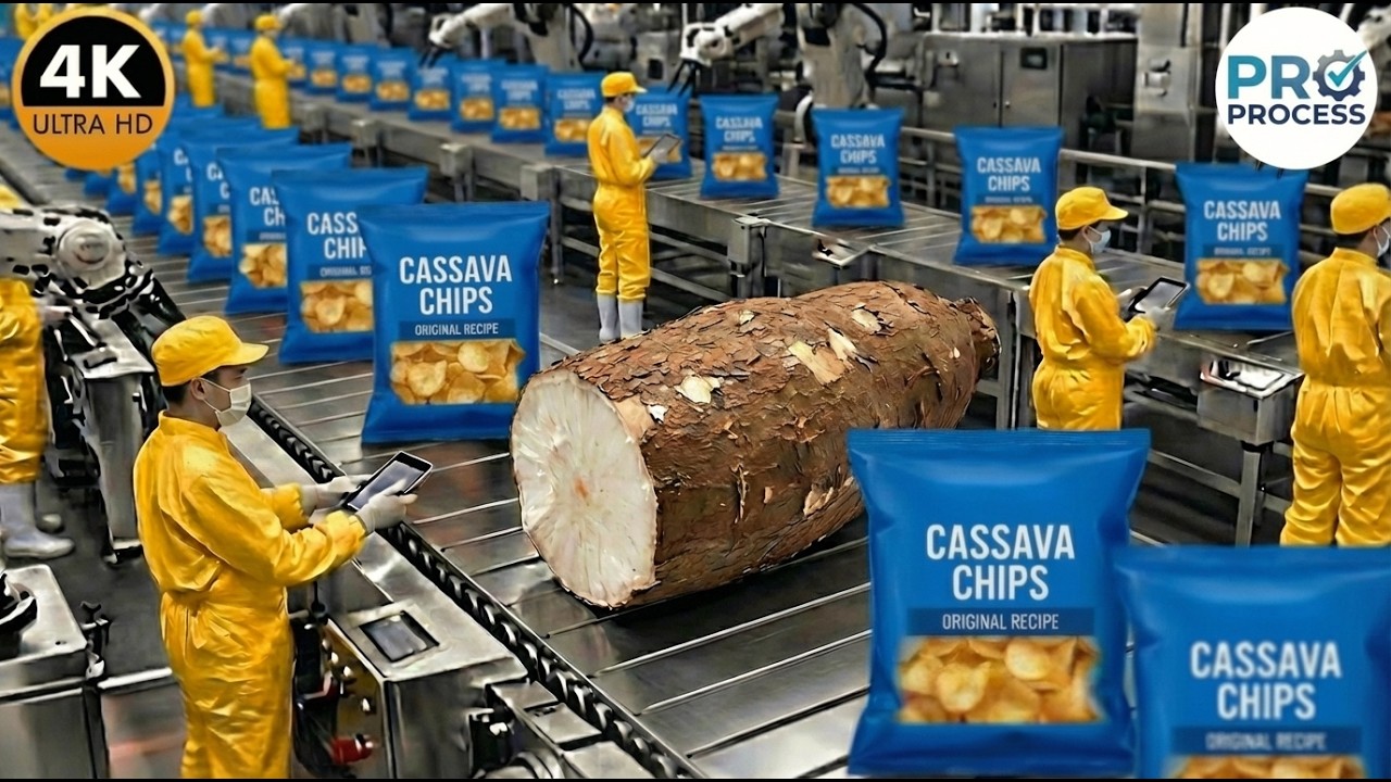 Inside the Cassava Factory – How Chips Makes From Cassava (Full Process) | D.J.S.A Cassava