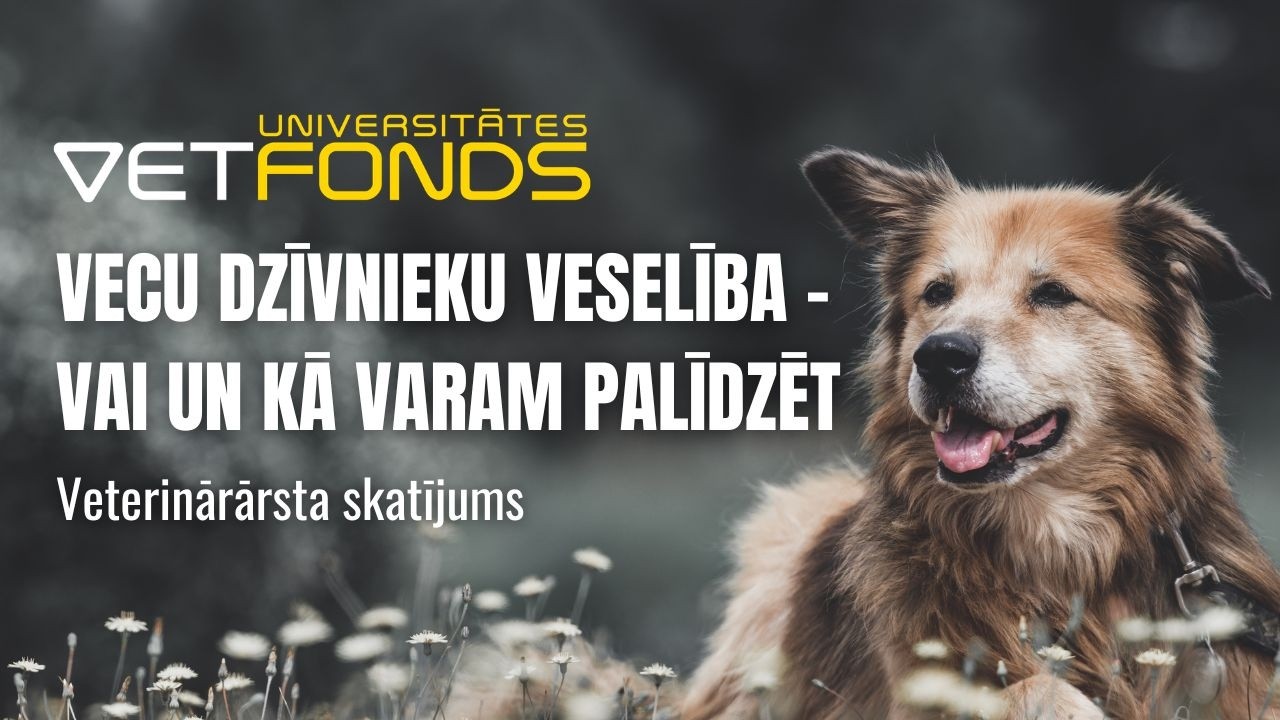 Vecu dzīvnieku veselība - vai un kā saimnieks var palīdzēt. Veterinārārstu skatījums.