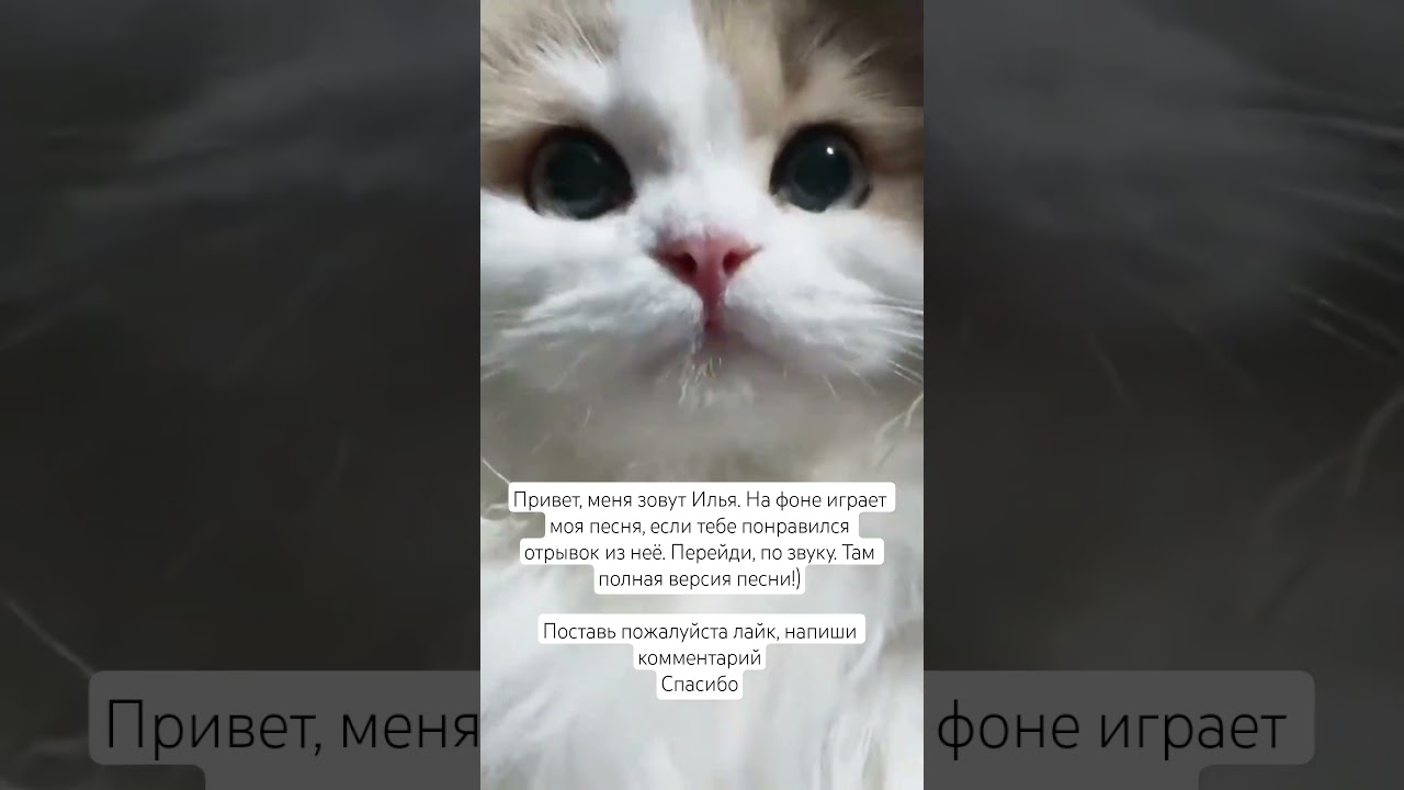 Nalimii Music: ДнД