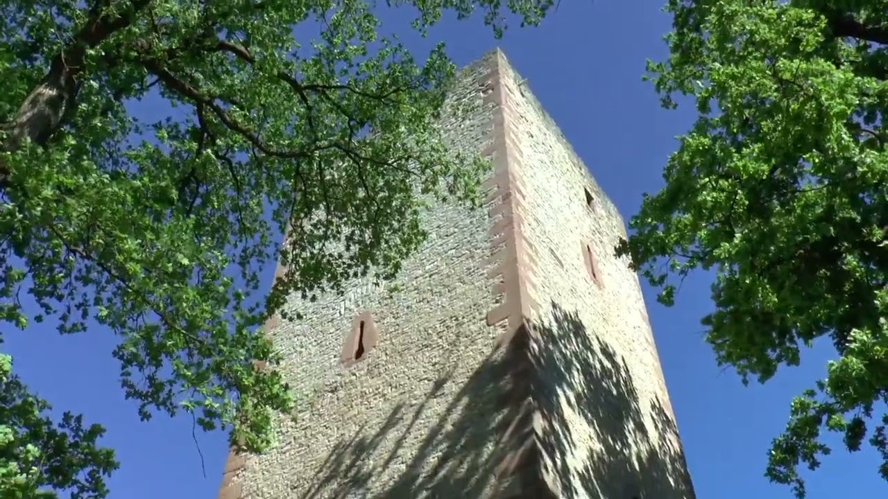 Mit der Bahn nach Kreiensen und wandern zur Greener Burg und ein Stück im Einbecker Forst
