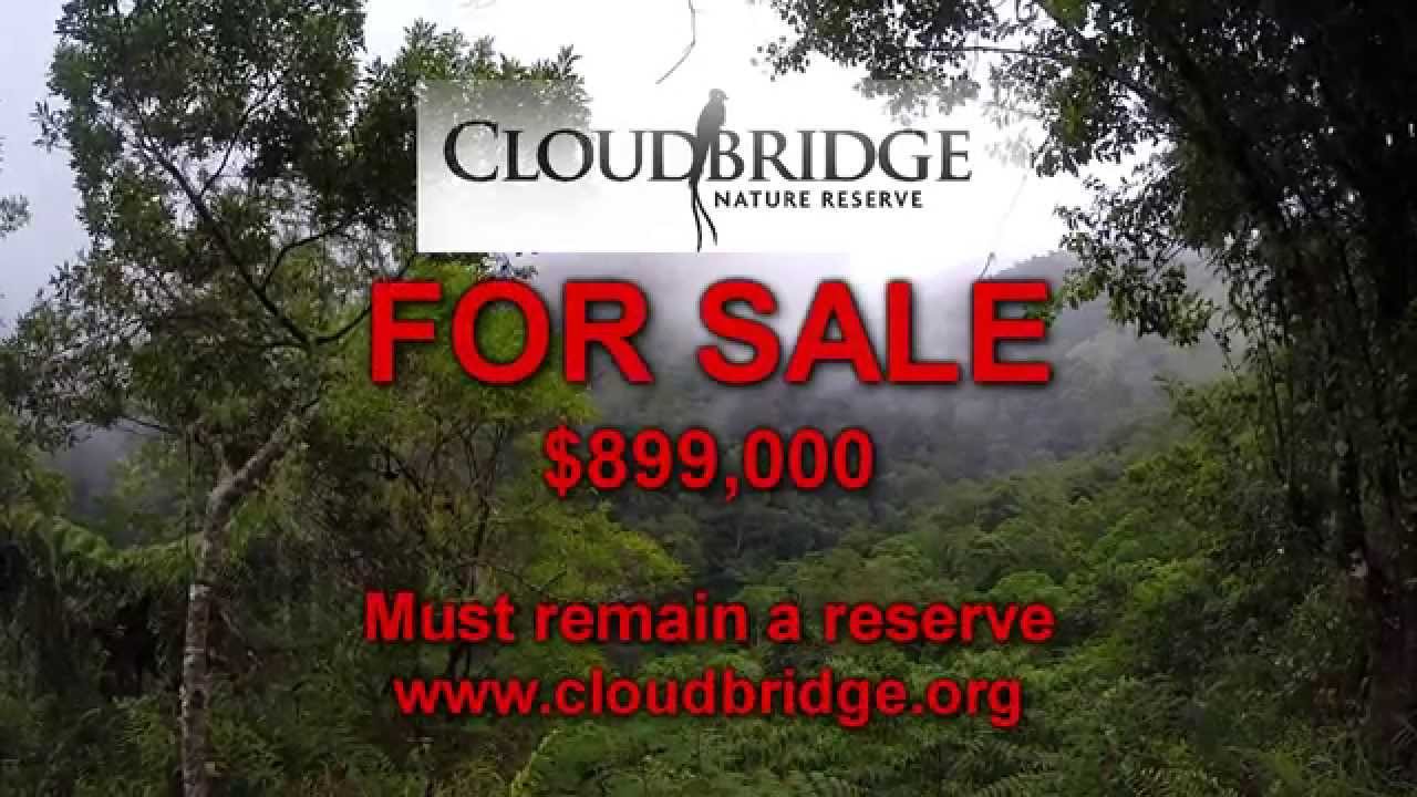 Cloudbridge, Costa Rica