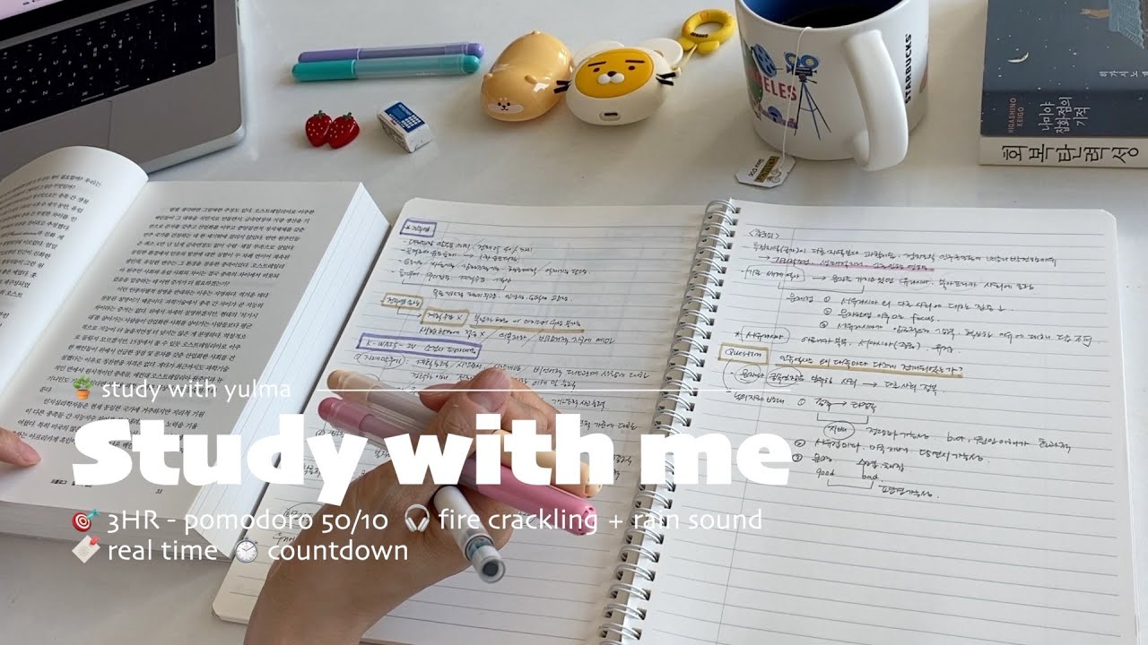 📋3HR STUDY WITH ME(50/10)ㅣfire crackling + rain soundㅣwith timer