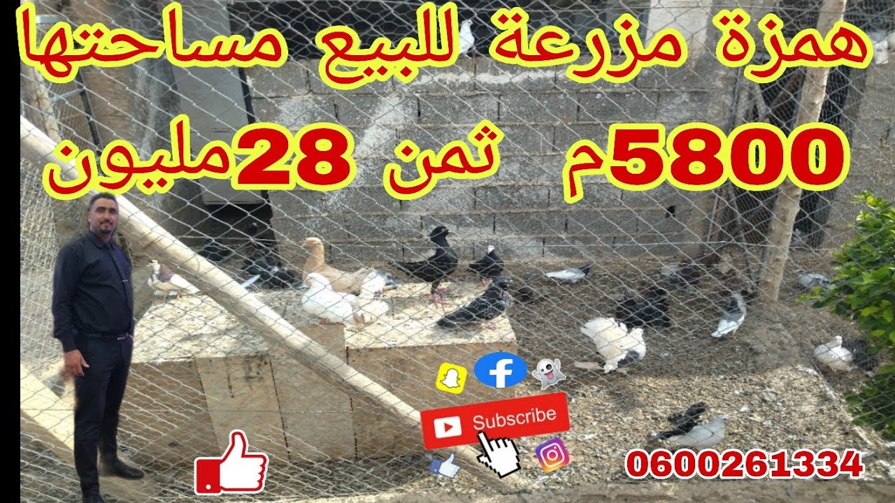🔴هدا ليس متوفرا مياه🔴للبيع مساحتها 5800م طريق اكادير داير بها صور فيها منزل انواع لحمام ثمن 28مليون