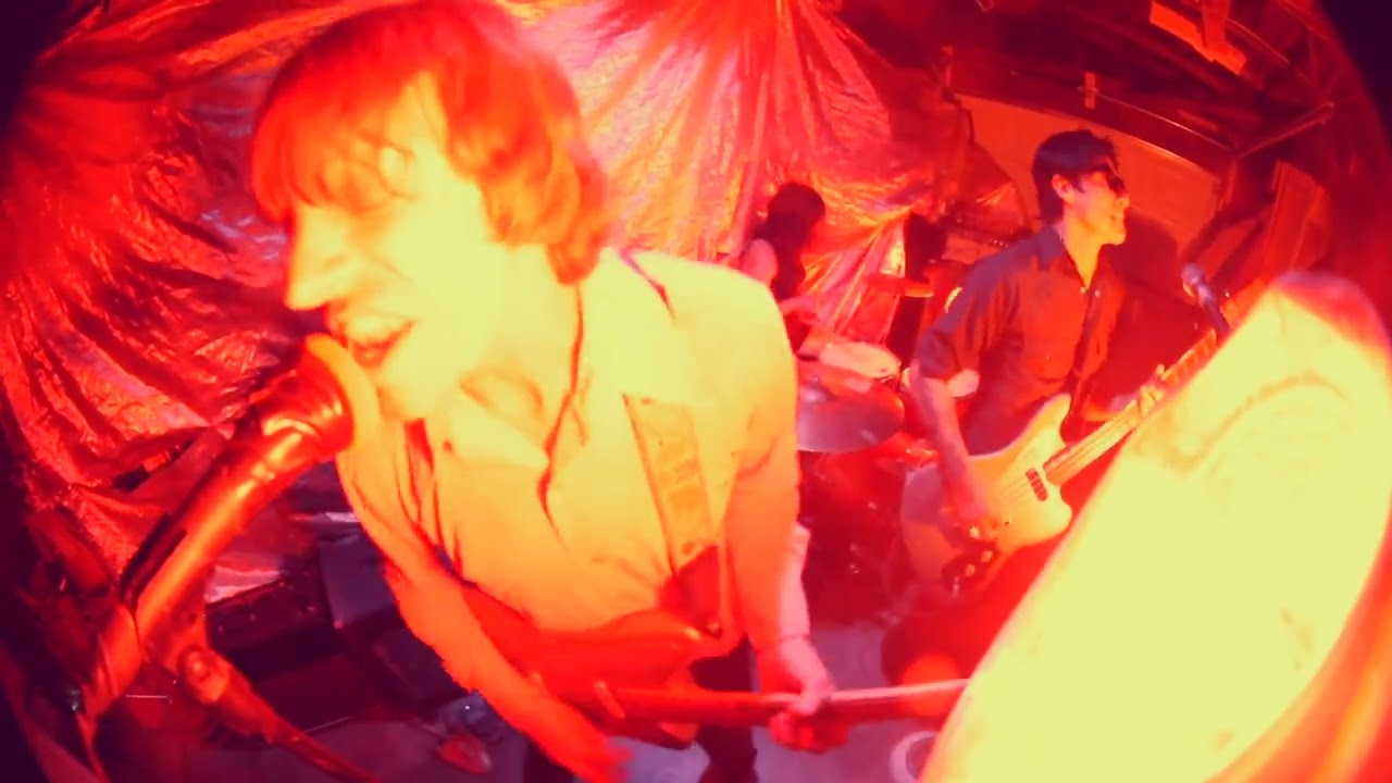 The Schizophonics - Won Your Love