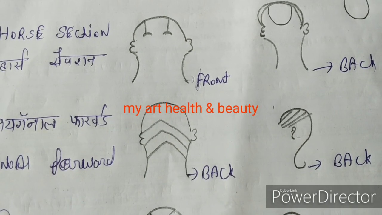 Haircut Thoery in hindi/Sectioning & parting/ Beauty parlour course online//Beautician course series