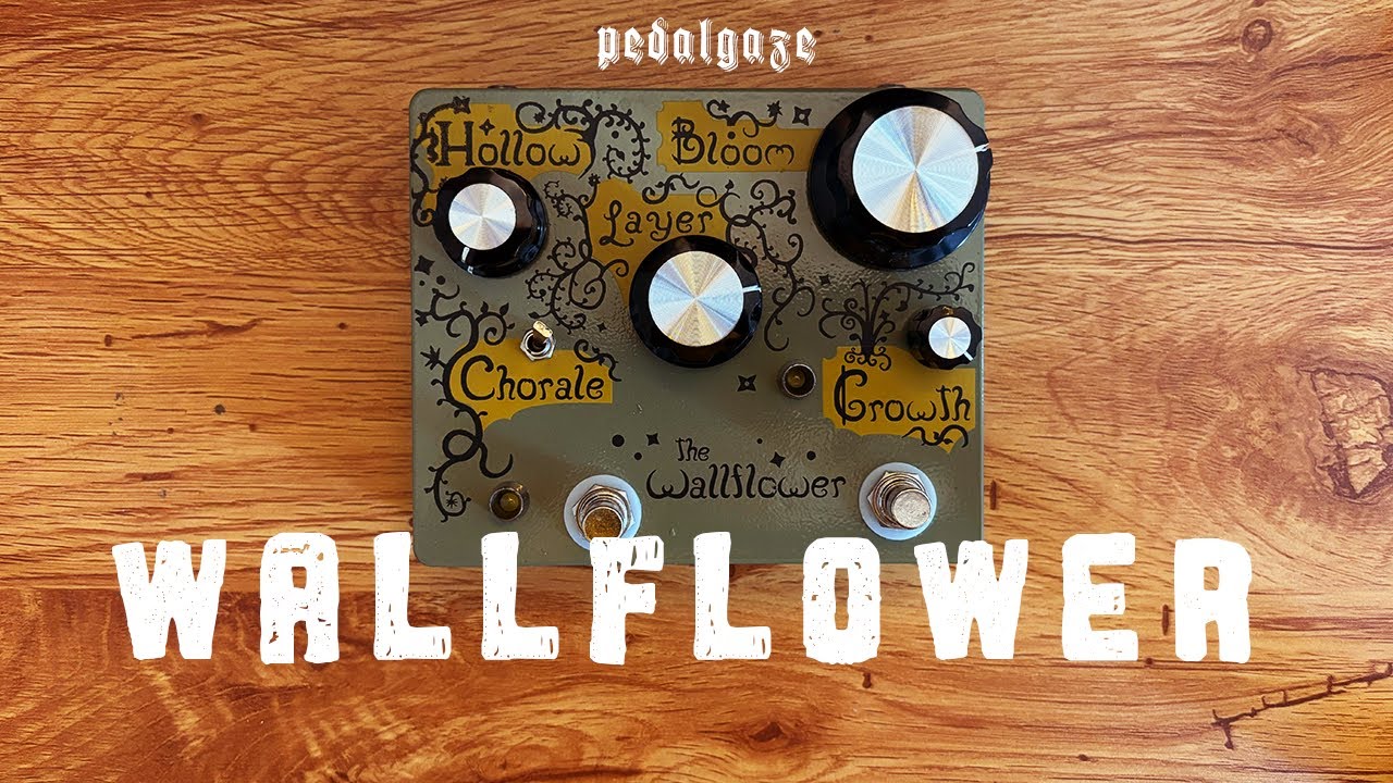 Hungry Robot Pedals Wallflower: Instant Shoegaze Machine