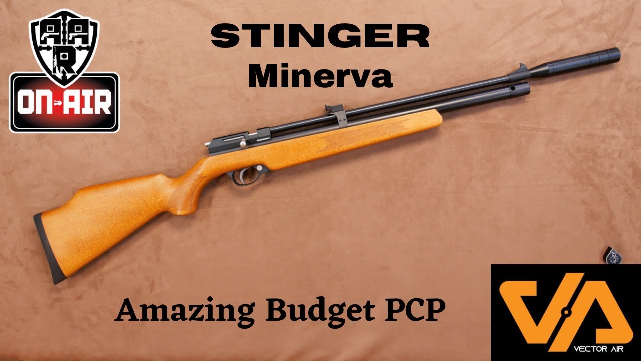 Stinger Minerva Budget PCP