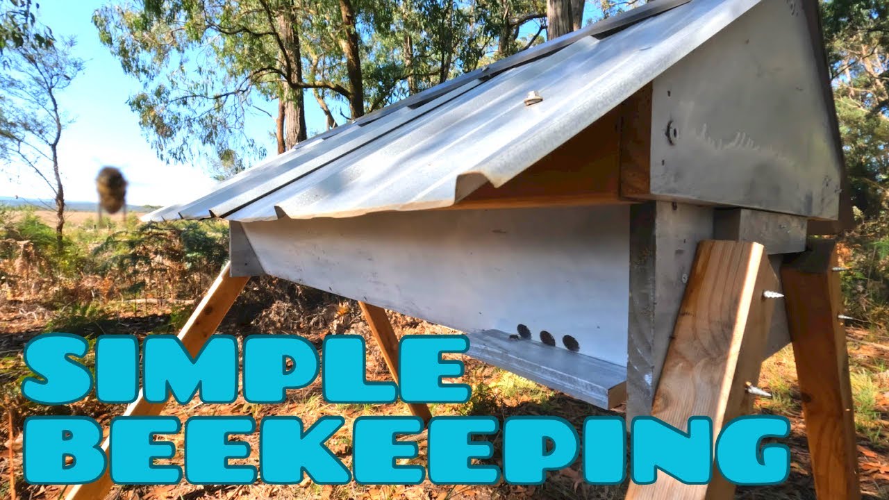 8 Week Checkup on the Topbar Hive with the perfect bees! 3-4-2023 Aussiebeekeeping.