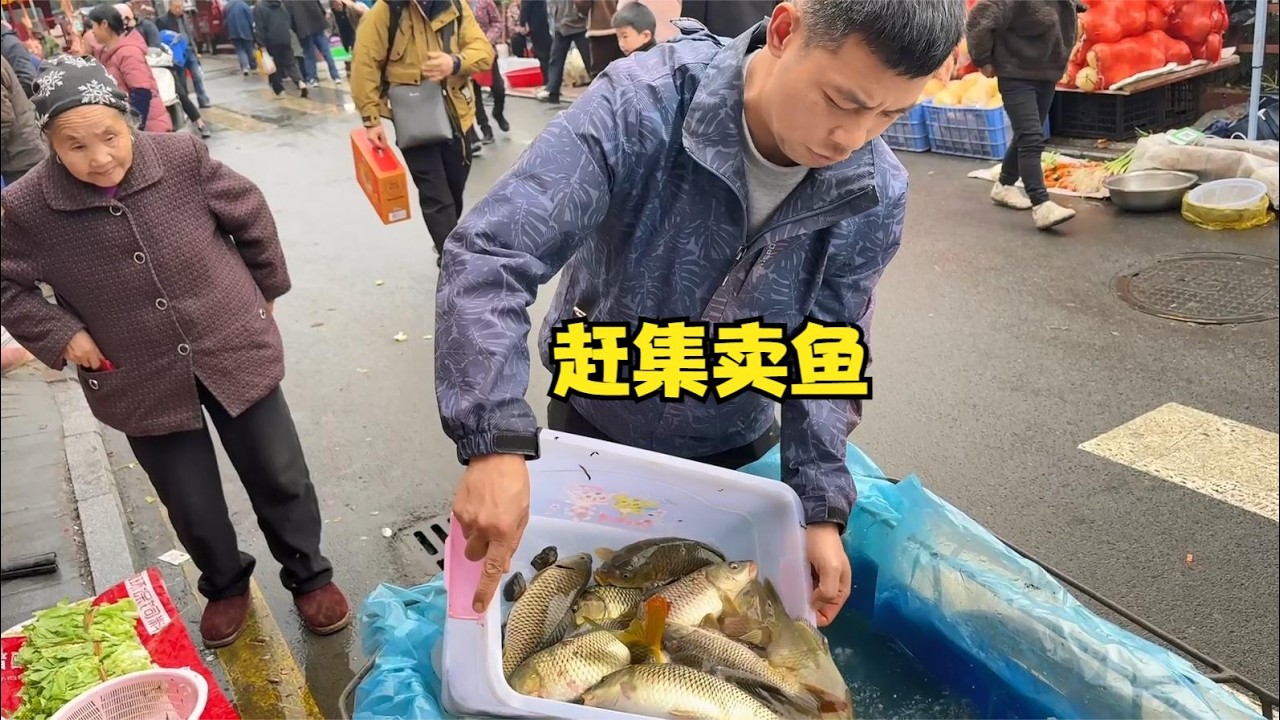 雨锅上午去集市帮老爸卖鱼，下午又到山上找香菇，可惜香菇长的不多