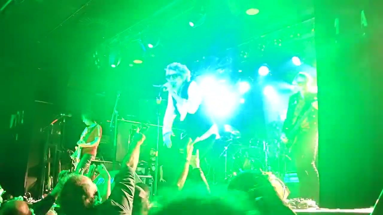 The Psychedelic Furs  
