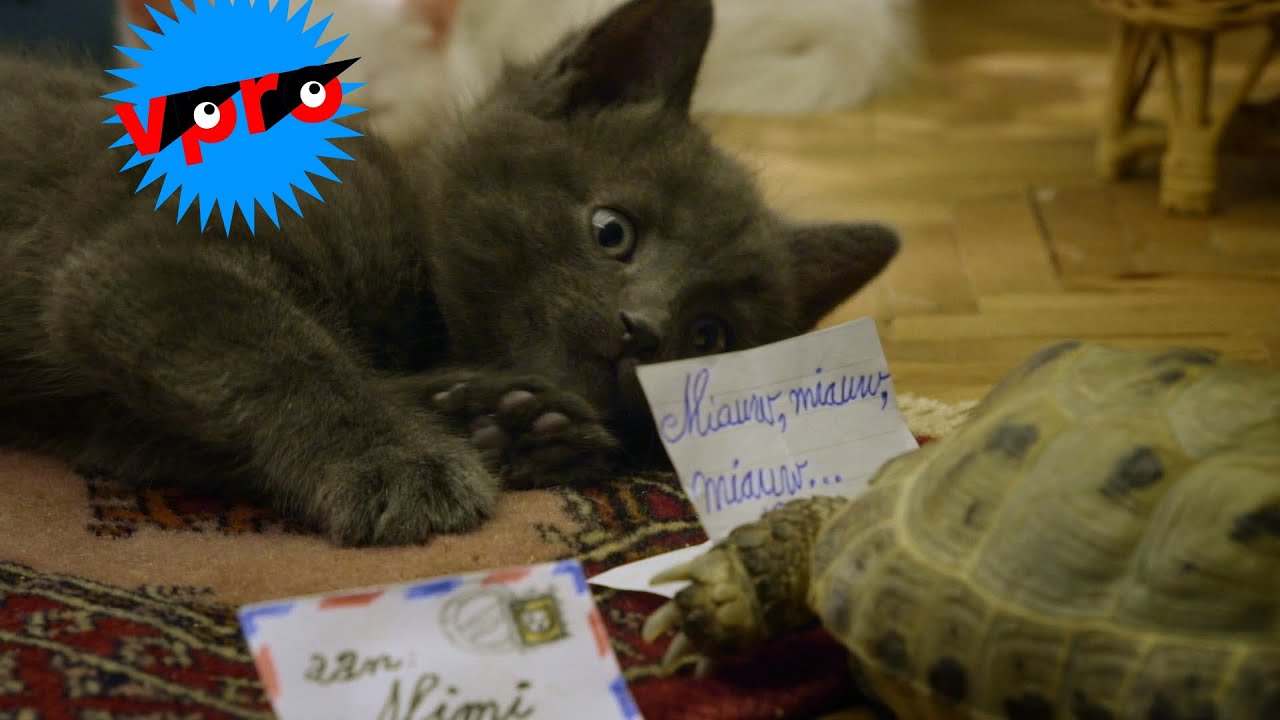 Poesjespreview aflevering 2: brief van papa