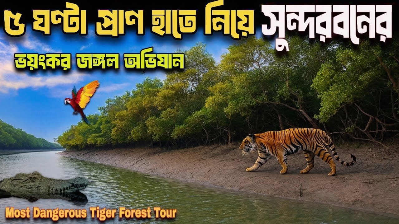 বঙ্গোপসাগর লাগোয়া ধানচি বাঘের জঙ্গল—৪৮ মিনিটের শ্বাসরুদ্ধকর অ্যাডভেঞ্চার ভিডিও//Sundarban forest 
