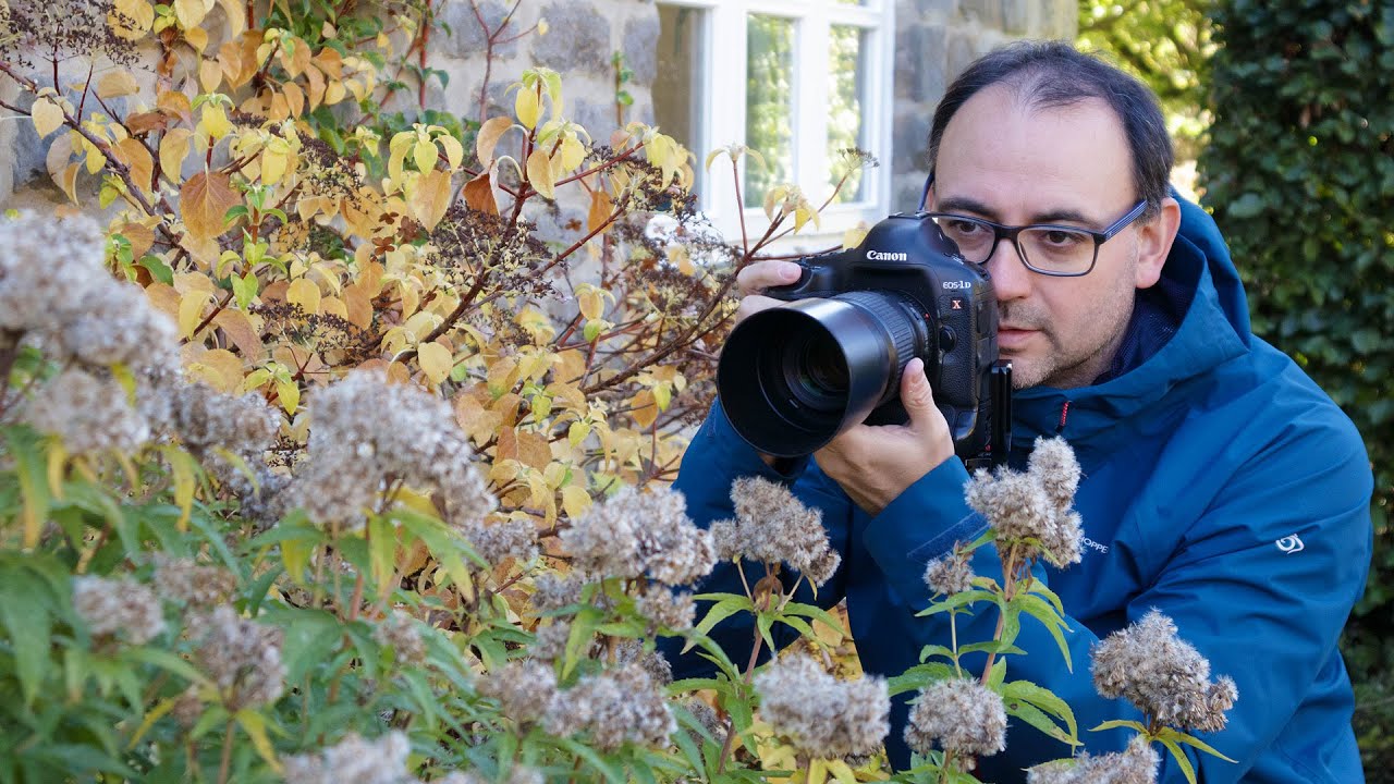 How to Photograph Autumn Close Ups & Macro (with a Canon EF 100mm f/2.8 Macro Lens)