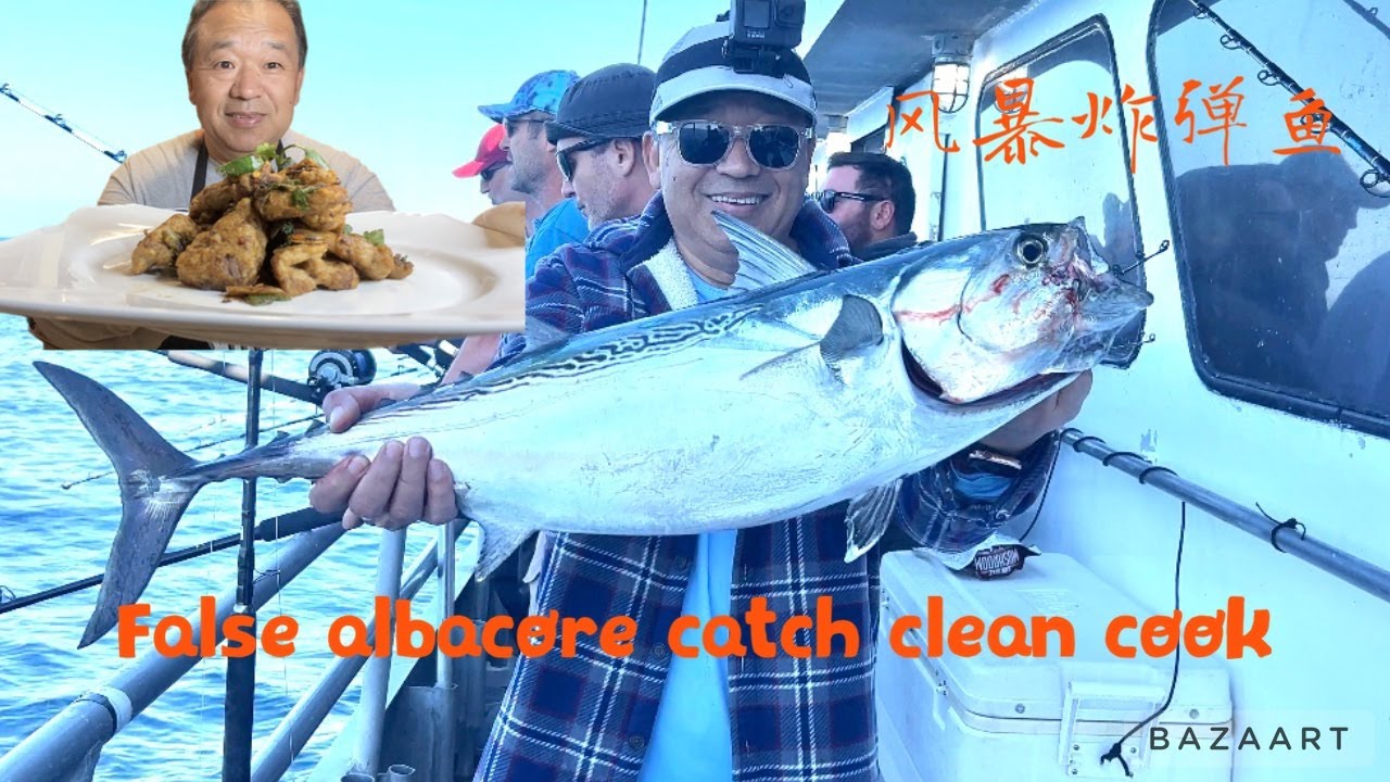 Turn a trash fish into delicious meal - false albacore catch clean and cook / 风暴炸弹鱼