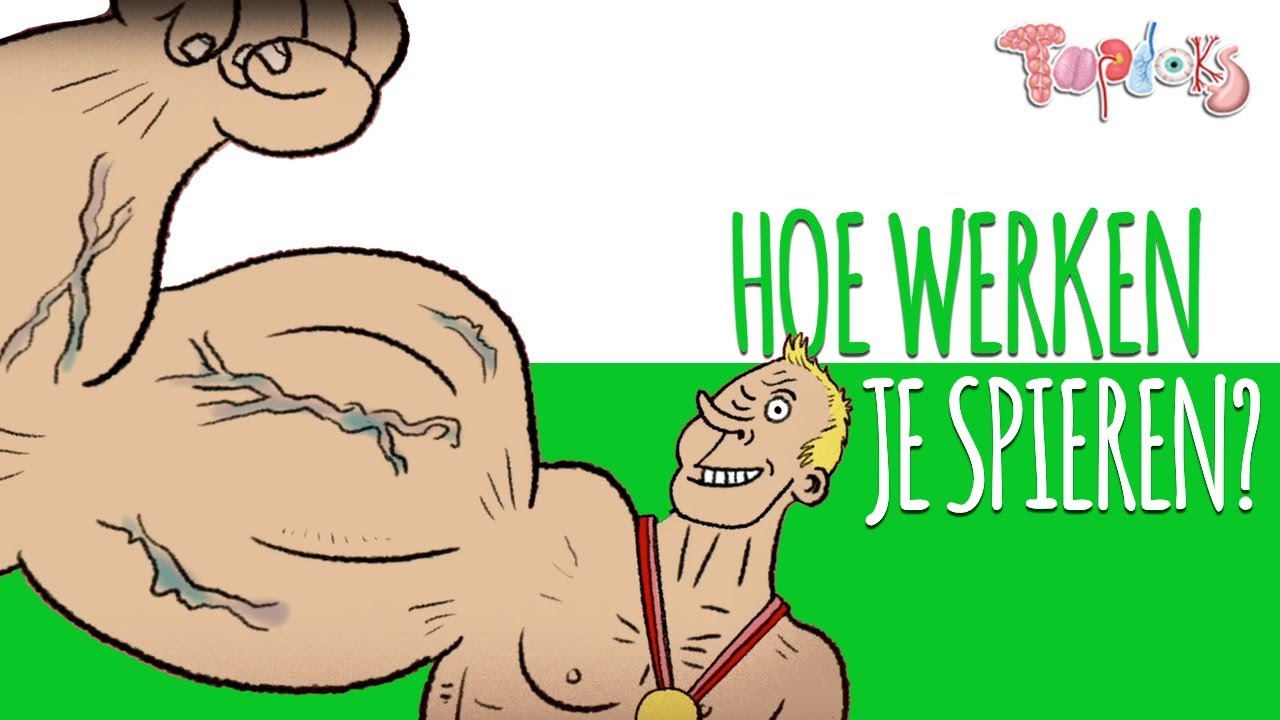 DE SPIEREN VAN YURI VAN GELDER! - TOPDOKS ANIMATIE