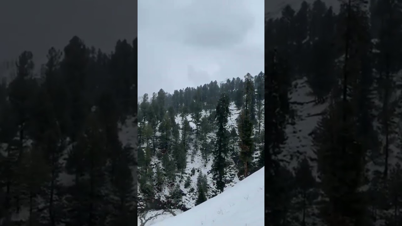 Swat Snowfall 2025 | Amazing Winter Wonderland in Pakistan  #snowfall