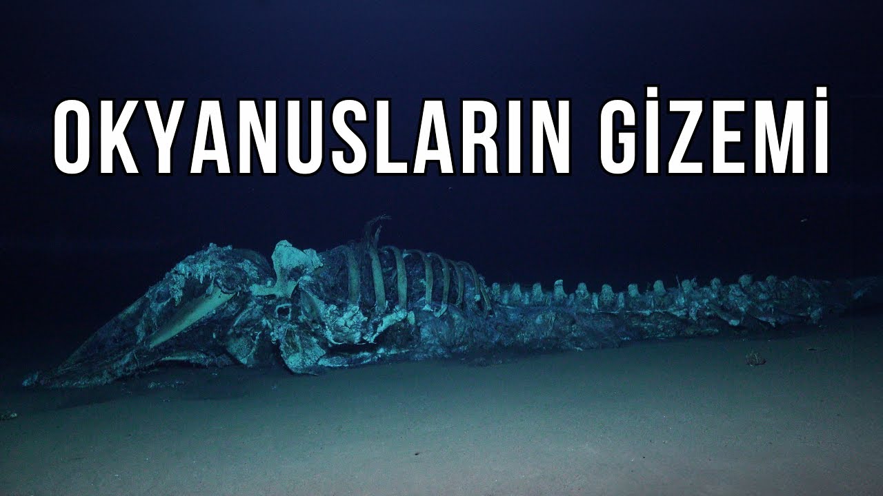 Sırlarla Dolu Olan Keşfedilememiş Bir B&ouml;lge: Okyanuslar