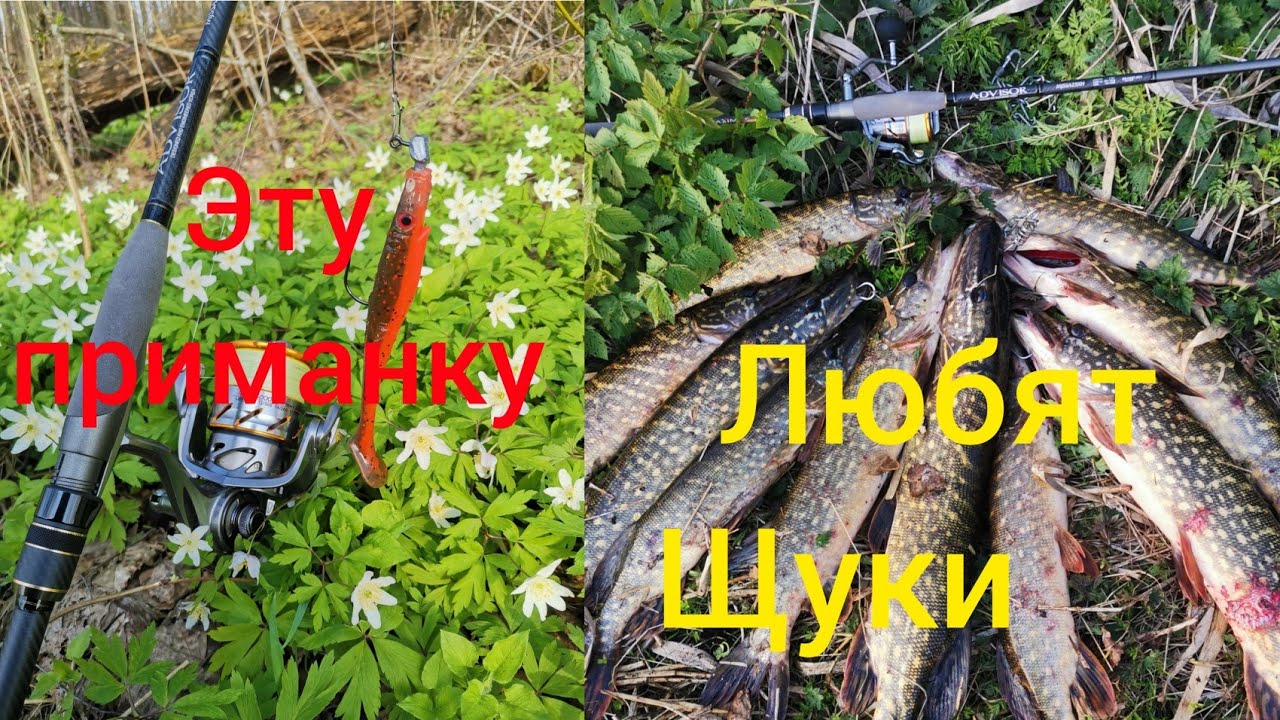 Эта Приманка косит Щуку как АК-47. Как оснастить Pig Shad. Снасть на Щуку #рыбалка #снасть #рыбалка
