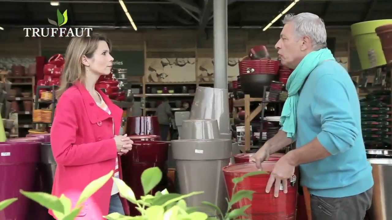Cultiver et planter un rosier en pot : matériel nécessaire - Truffaut
