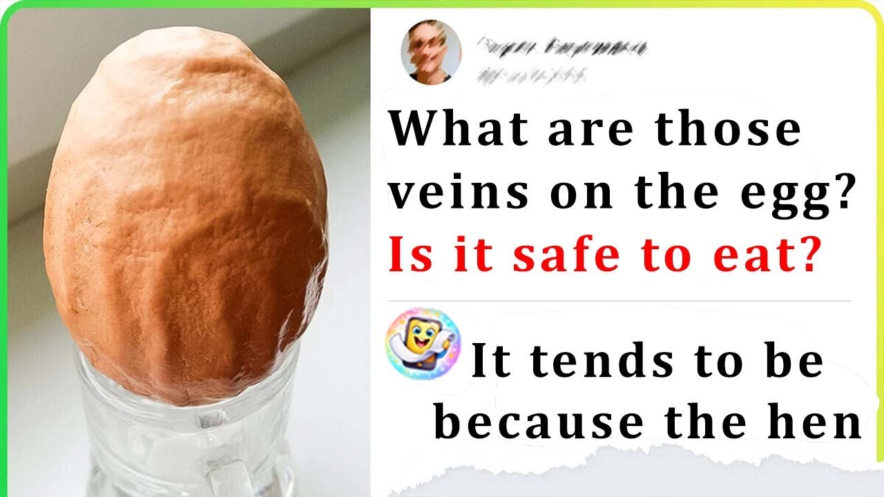 People Found Weird Objects and the Internet Had the Answer