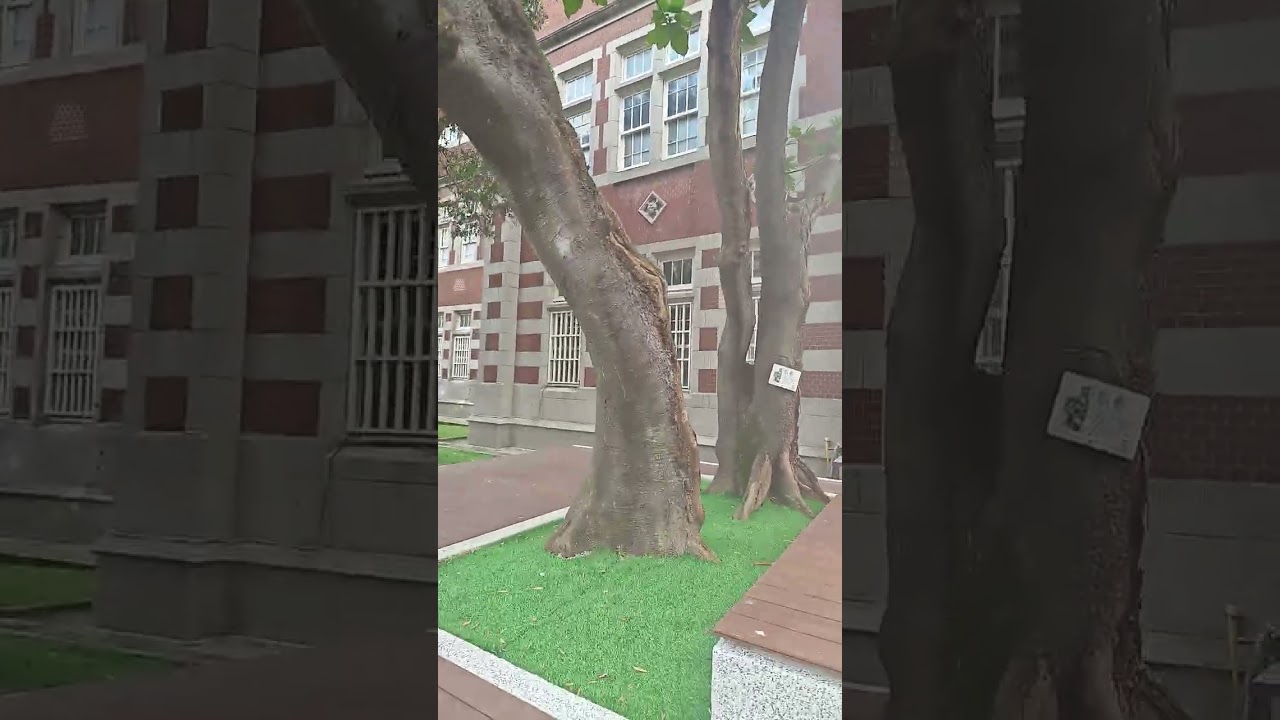 台北市大安區sec.1.HePing E.Rd.162国立範大學校で撮ったの映像です  優れた生徒は大學校入學試驗が合格したら それで4年に良く勉強して畢業した  .直ぐに教師の資格になりますね