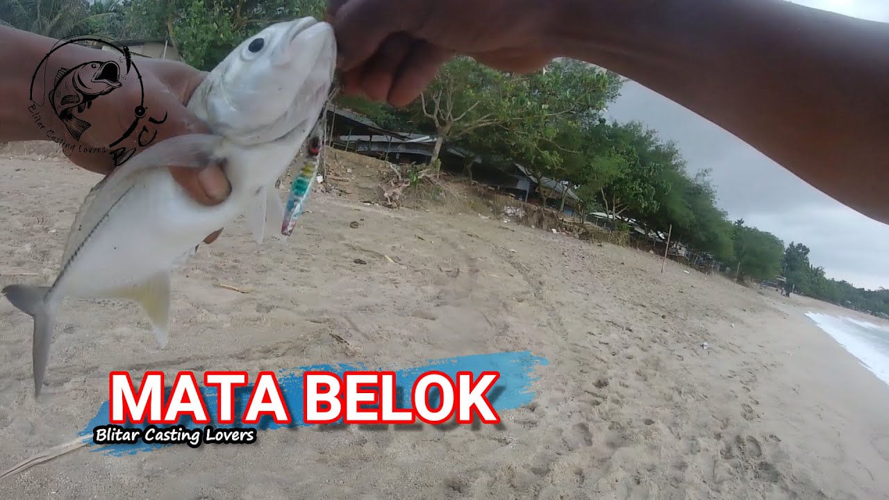 ULTRALIGHT SHOREJIG - Baby GT Tambakrejo (ide baru) #121 #bclfishing