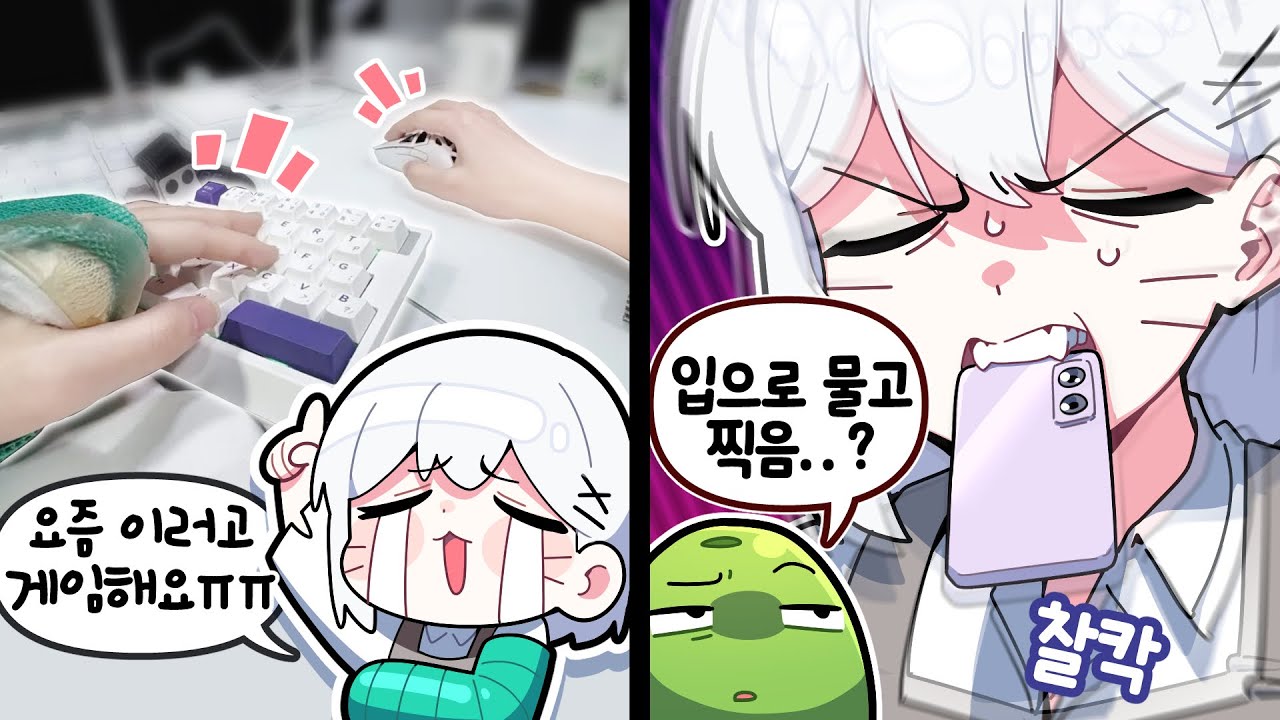 설백은 이 사진을 어떻게 찍었을까