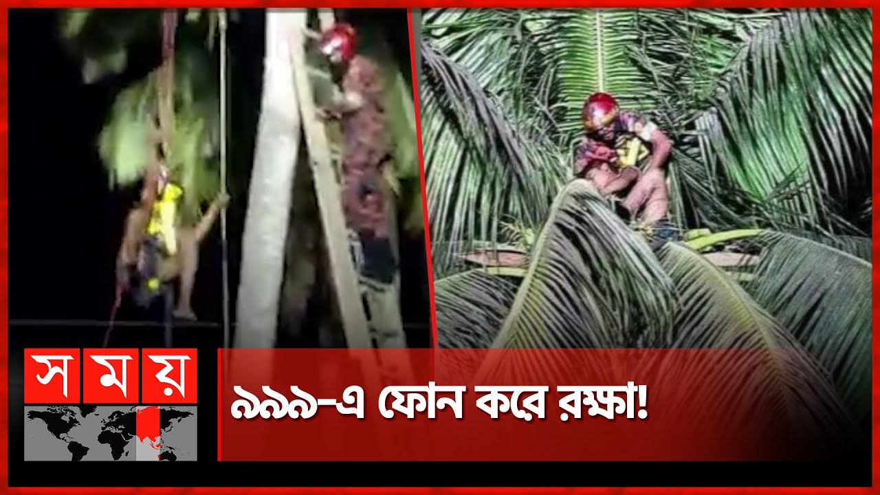 ডাব চুরি করতে গিয়ে গাছেই অজ্ঞান, ৬ ঘন্টা পর উদ্ধার! | Coconut Thief | Viral News | Faridpur News