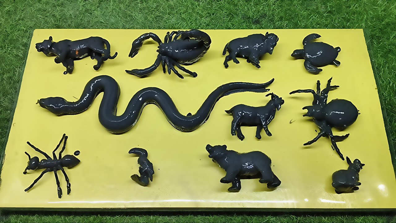 Dirty Toy ➜ Real Animal ✨ | Fun Toy Wash  | Satisfying Wash Transformation | WASH & MAGIC #13